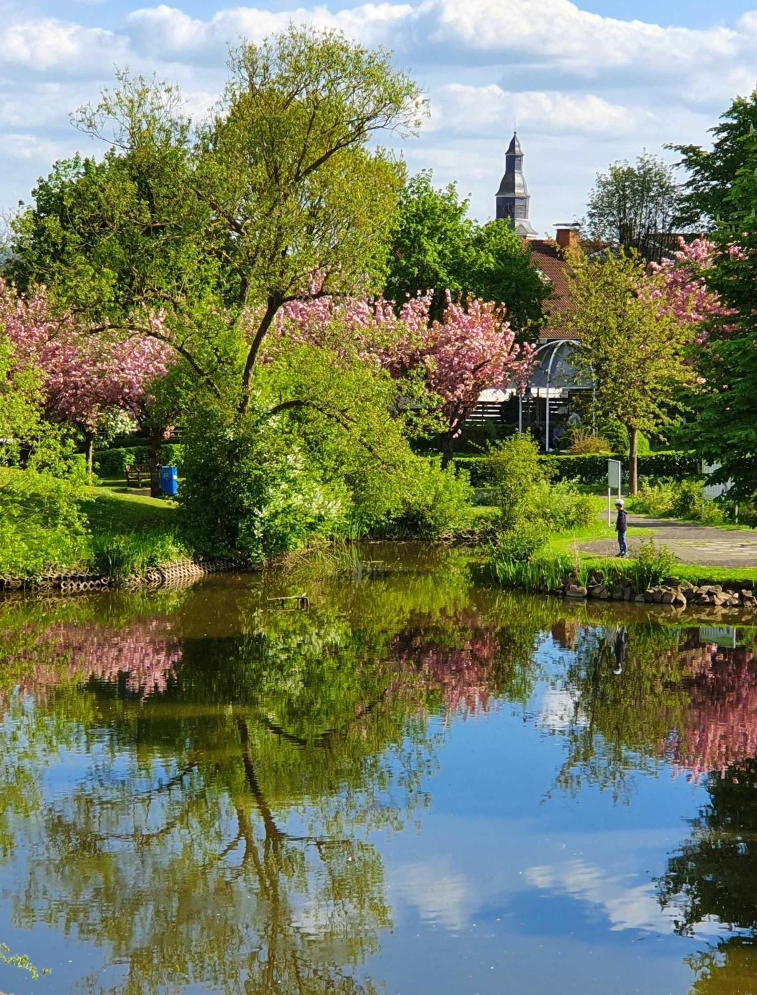 Kleinod Am Kurpark Apartment Bad Zwesten Luaran gambar